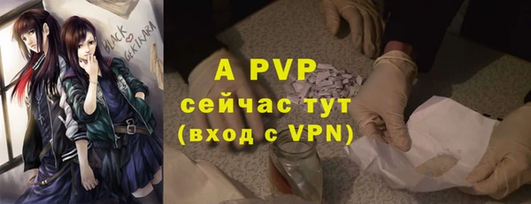 гашик Алексеевка
