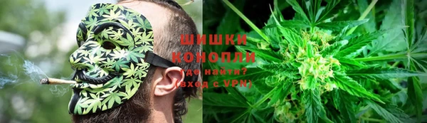 трава Алзамай