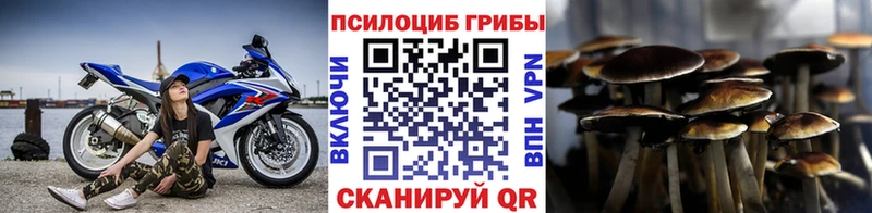 продажа наркотиков  Мегион  Галлюциногенные грибы Psilocybine cubensis 